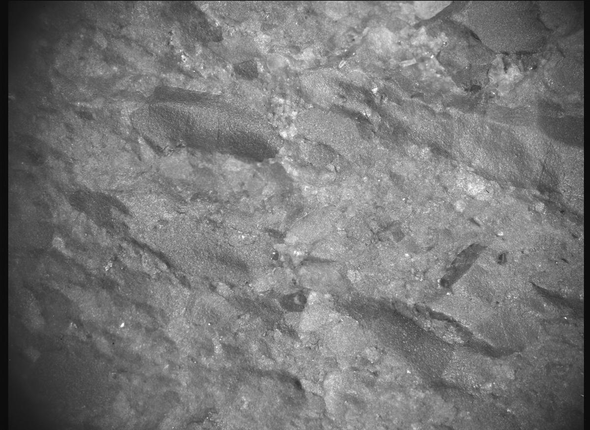 This image was taken by SHERLOC_ACI onboard NASA's Mars rover Perseverance on Sol 847