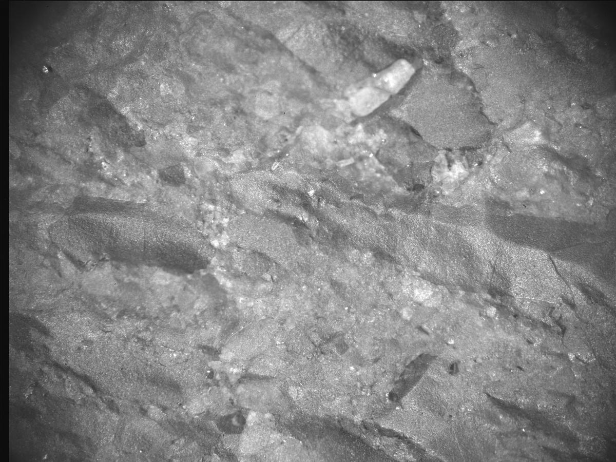 This image was taken by SHERLOC_ACI onboard NASA's Mars rover Perseverance on Sol 847