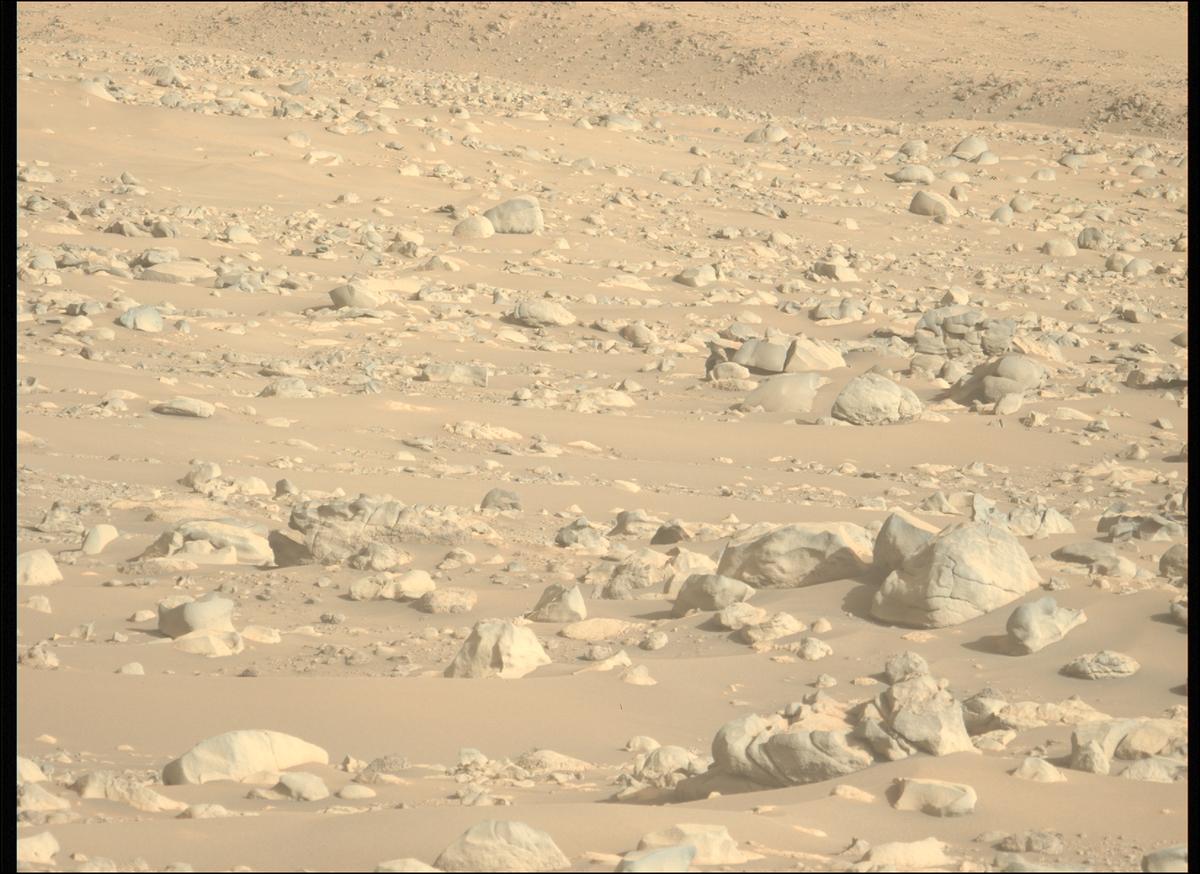 This image was taken by MCZ_LEFT onboard NASA's Mars rover Perseverance on Sol 847