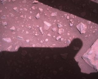 View image taken on Mars, Mars Perseverance Sol 849: Rover Down-Look Camera