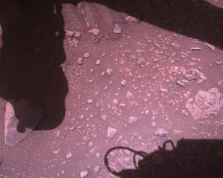 View image taken on Mars, Mars Perseverance Sol 849: Rover Down-Look Camera