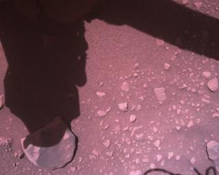 View image taken on Mars, Mars Perseverance Sol 849: Rover Down-Look Camera