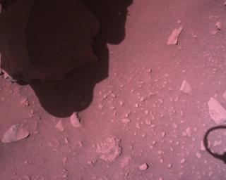View image taken on Mars, Mars Perseverance Sol 849: Rover Down-Look Camera