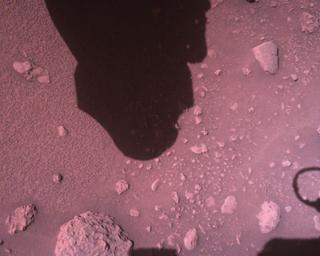 View image taken on Mars, Mars Perseverance Sol 849: Rover Down-Look Camera