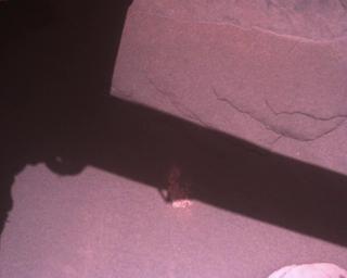 View image taken on Mars, Mars Perseverance Sol 849: Rover Down-Look Camera