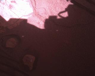View image taken on Mars, Mars Perseverance Sol 849: Rover Down-Look Camera