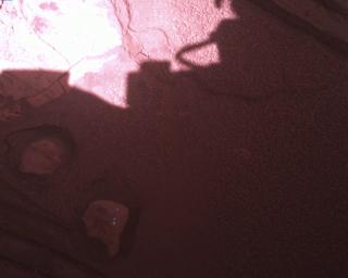 View image taken on Mars, Mars Perseverance Sol 849: Rover Down-Look Camera
