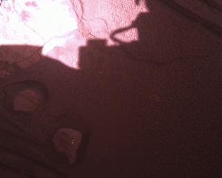 View image taken on Mars, Mars Perseverance Sol 849: Rover Down-Look Camera