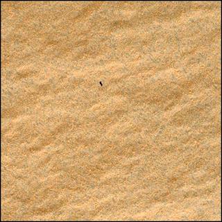 View image taken on Mars, Mars Perseverance Sol 849: WATSON Camera 