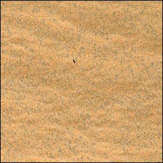 View image taken on Mars, Mars Perseverance Sol 849: WATSON Camera 