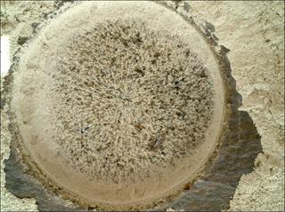 View image taken on Mars, Mars Perseverance Sol 850: WATSON Camera 