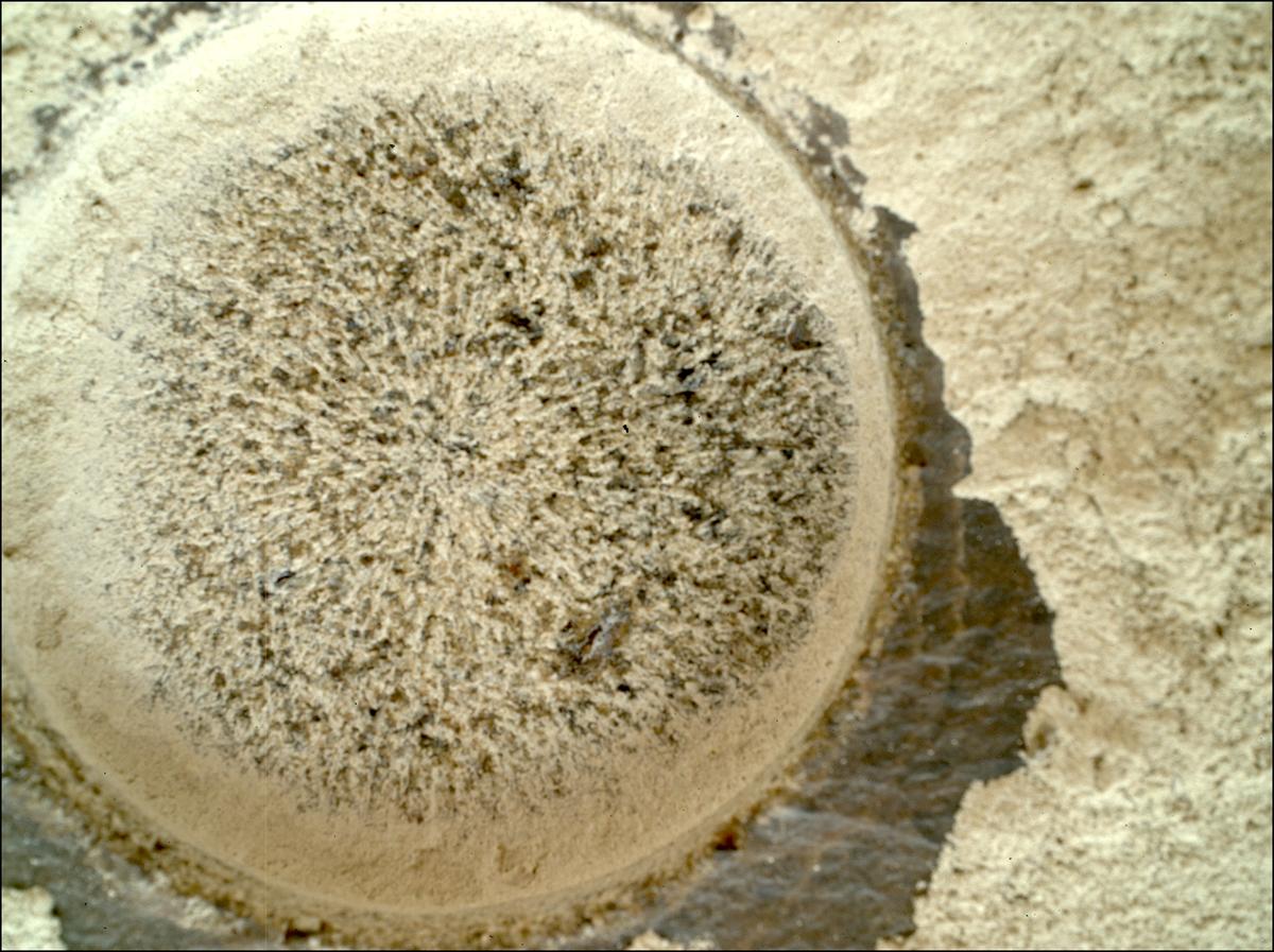 This image was taken by SHERLOC_WATSON onboard NASA's Mars rover Perseverance on Sol 850