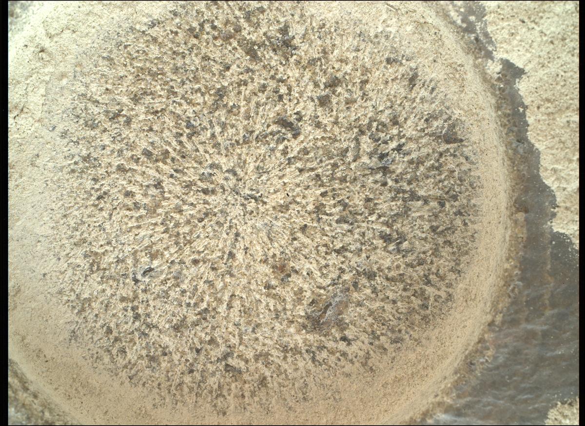 This image was taken by SHERLOC_WATSON onboard NASA's Mars rover Perseverance on Sol 850