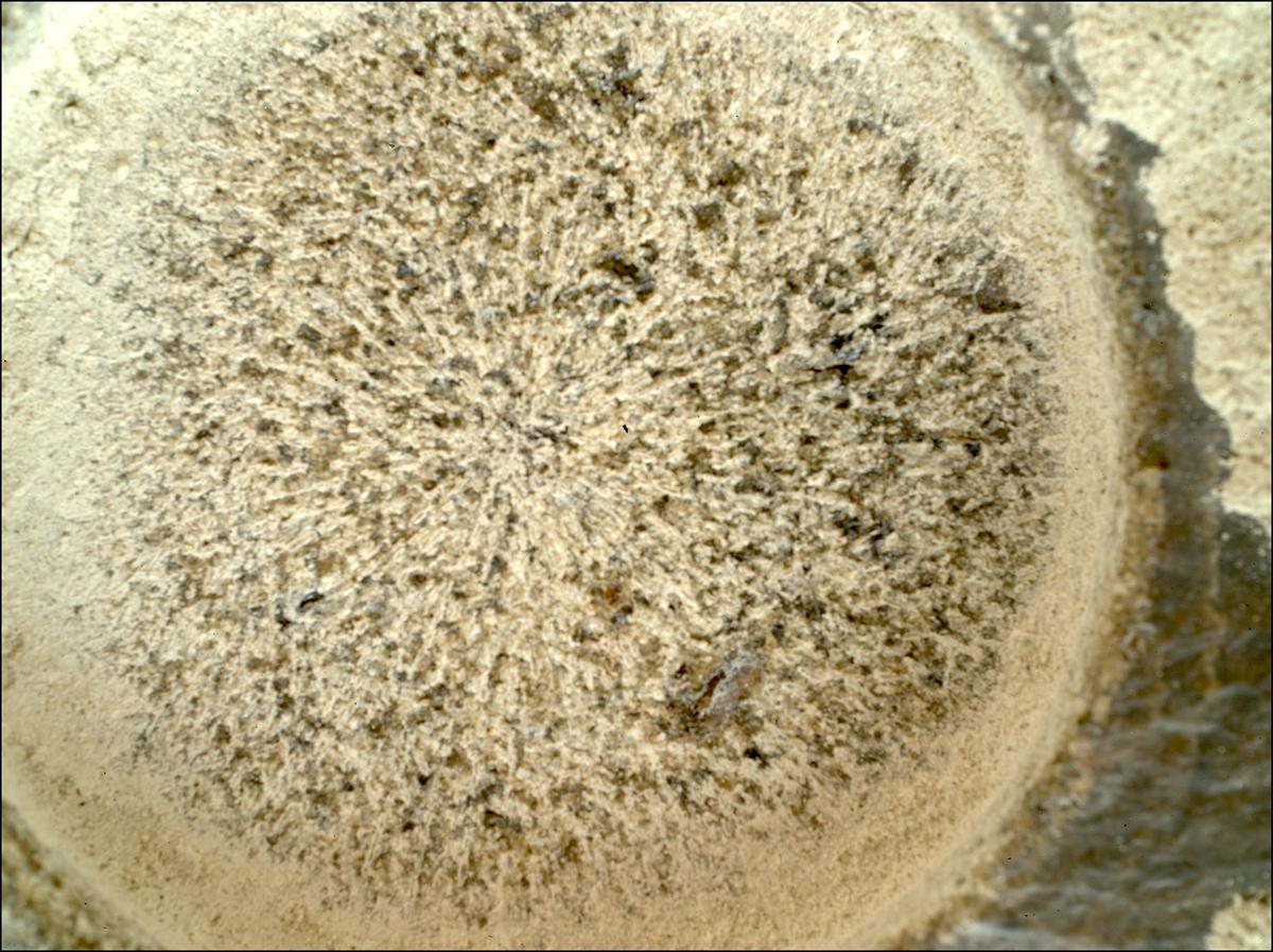 This image was taken by SHERLOC_WATSON onboard NASA's Mars rover Perseverance on Sol 850