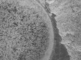 View image taken on Mars, Mars Perseverance Sol 851: WATSON Camera 