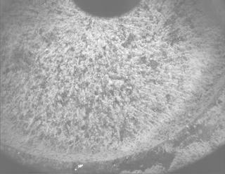 View image taken on Mars, Mars Perseverance Sol 852: PIXL Camera 