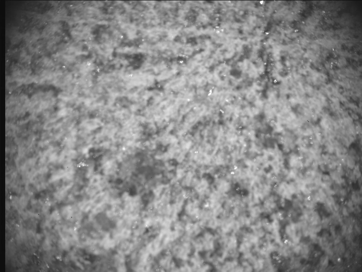 This image was taken by SHERLOC_ACI onboard NASA's Mars rover Perseverance on Sol 852
