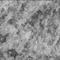 This image was taken by SHERLOC_ACI onboard NASA's Mars rover Perseverance on Sol 852