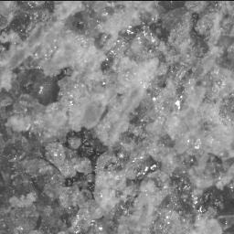 View image taken on Mars, Mars Perseverance Sol 852: SHERLOC ACI Camera 