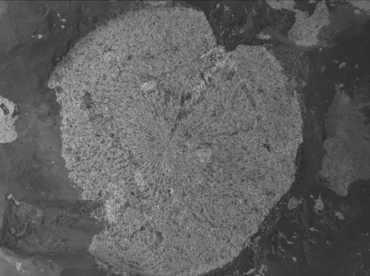 This image was taken by SHERLOC_WATSON onboard NASA's Mars rover Perseverance on Sol 859