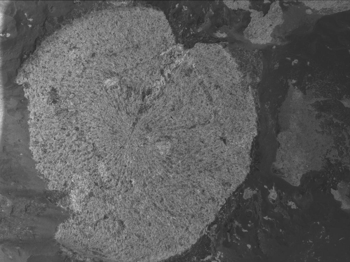 This image was taken by SHERLOC_WATSON onboard NASA's Mars rover Perseverance on Sol 859