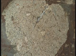 View image taken on Mars, Mars Perseverance Sol 859: WATSON Camera 