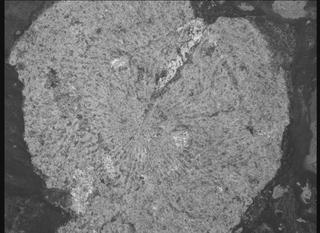 View image taken on Mars, Mars Perseverance Sol 859: WATSON Camera 