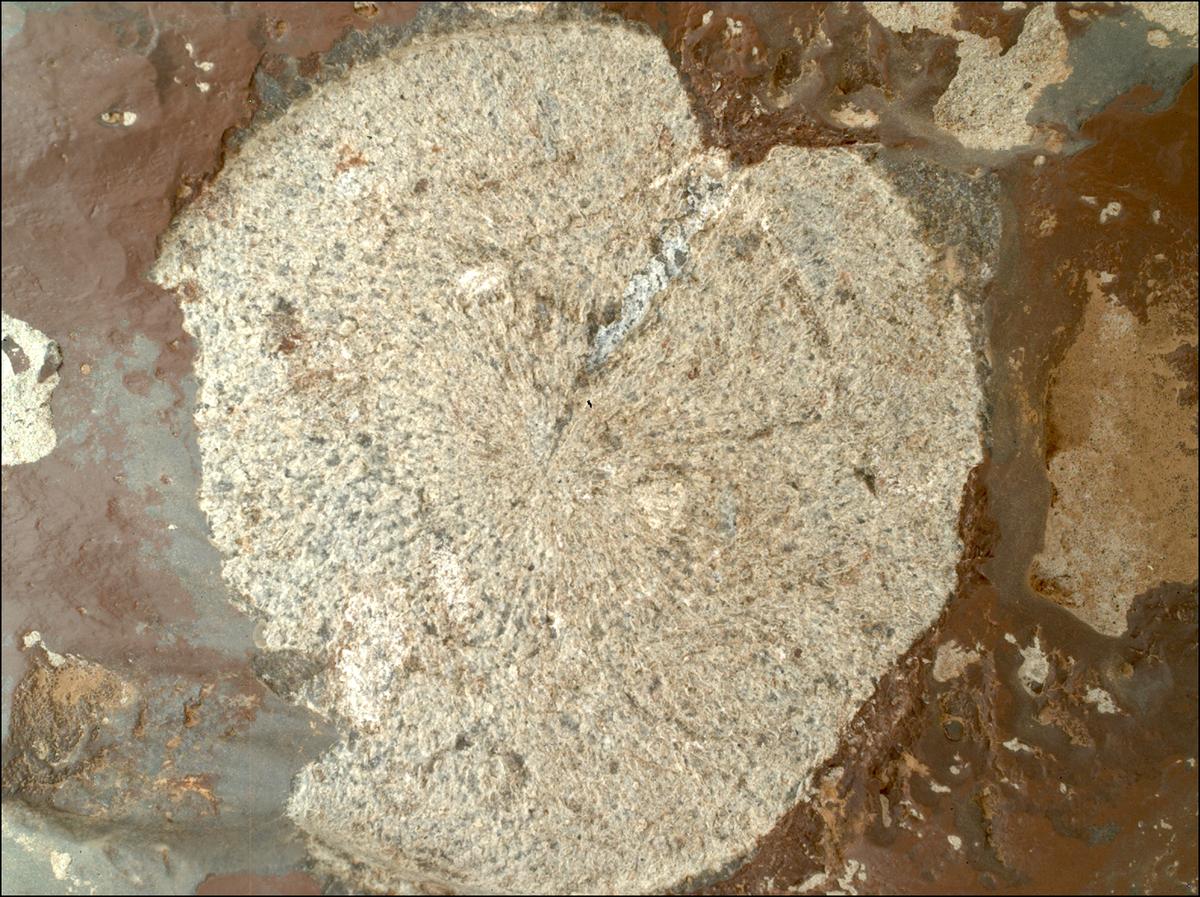 This image was taken by SHERLOC_WATSON onboard NASA's Mars rover Perseverance on Sol 859