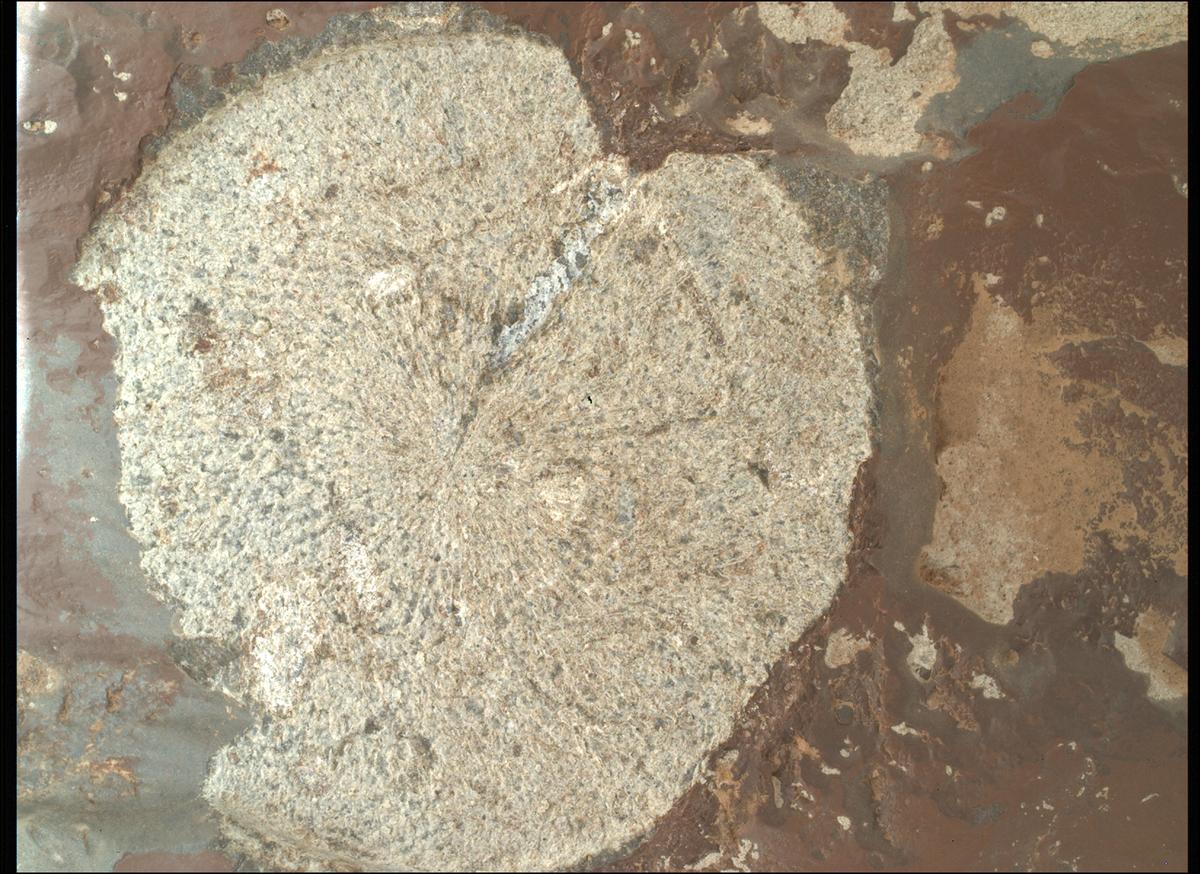 This image was taken by SHERLOC_WATSON onboard NASA's Mars rover Perseverance on Sol 859