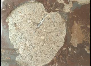 View image taken on Mars, Mars Perseverance Sol 859: WATSON Camera 