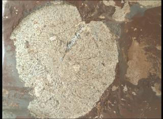 View image taken on Mars, Mars Perseverance Sol 859: WATSON Camera 