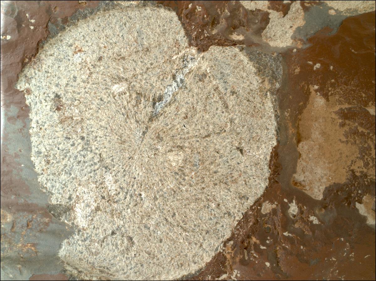 This image was taken by SHERLOC_WATSON onboard NASA's Mars rover Perseverance on Sol 859