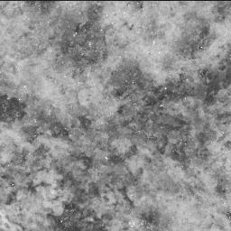 This image was taken by SHERLOC_ACI onboard NASA's Mars rover Perseverance on Sol 860