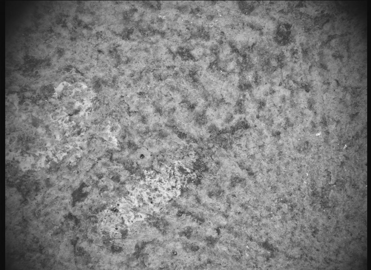 This image was taken by SHERLOC_ACI onboard NASA's Mars rover Perseverance on Sol 860