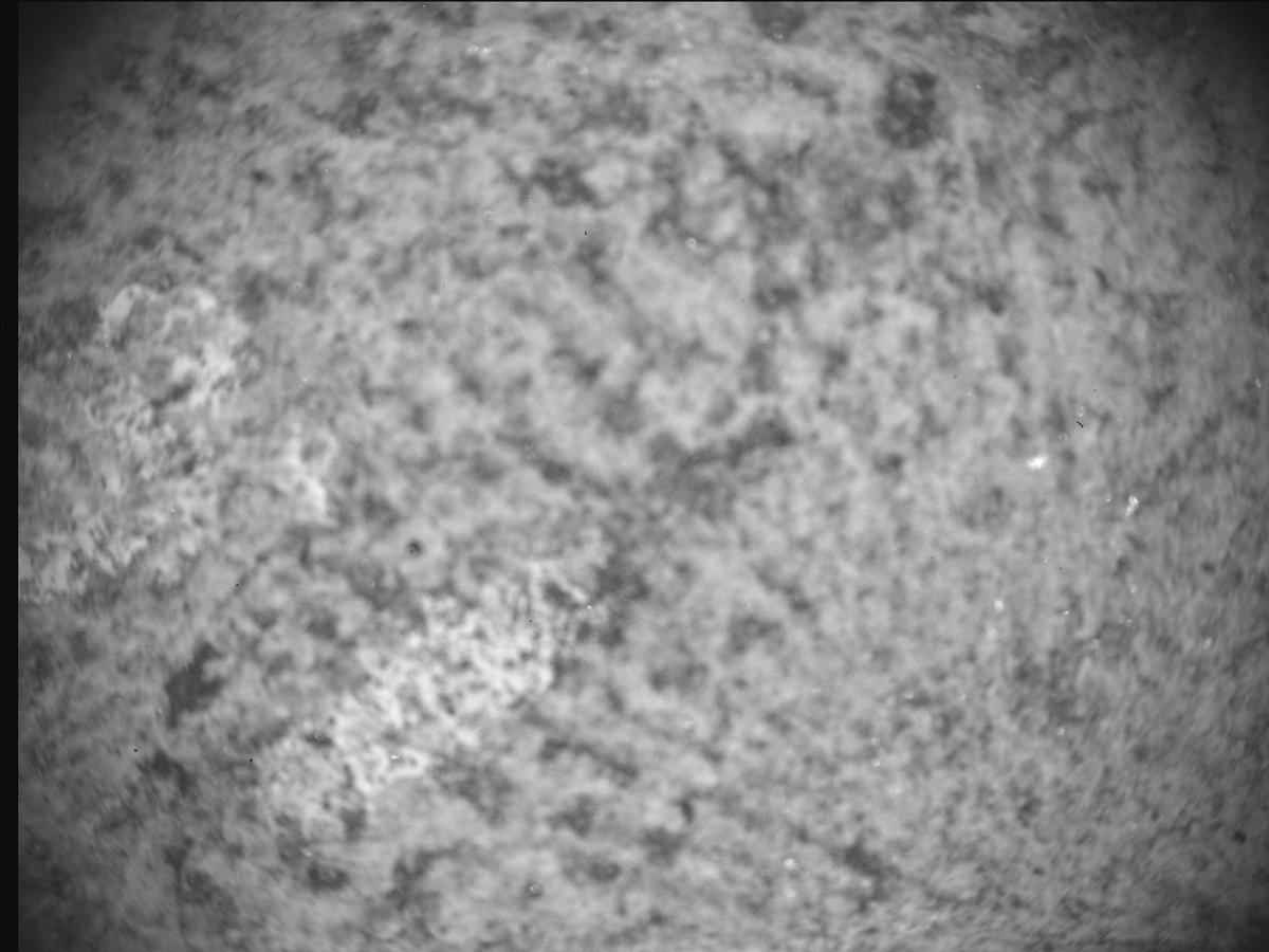 This image was taken by SHERLOC_ACI onboard NASA's Mars rover Perseverance on Sol 860