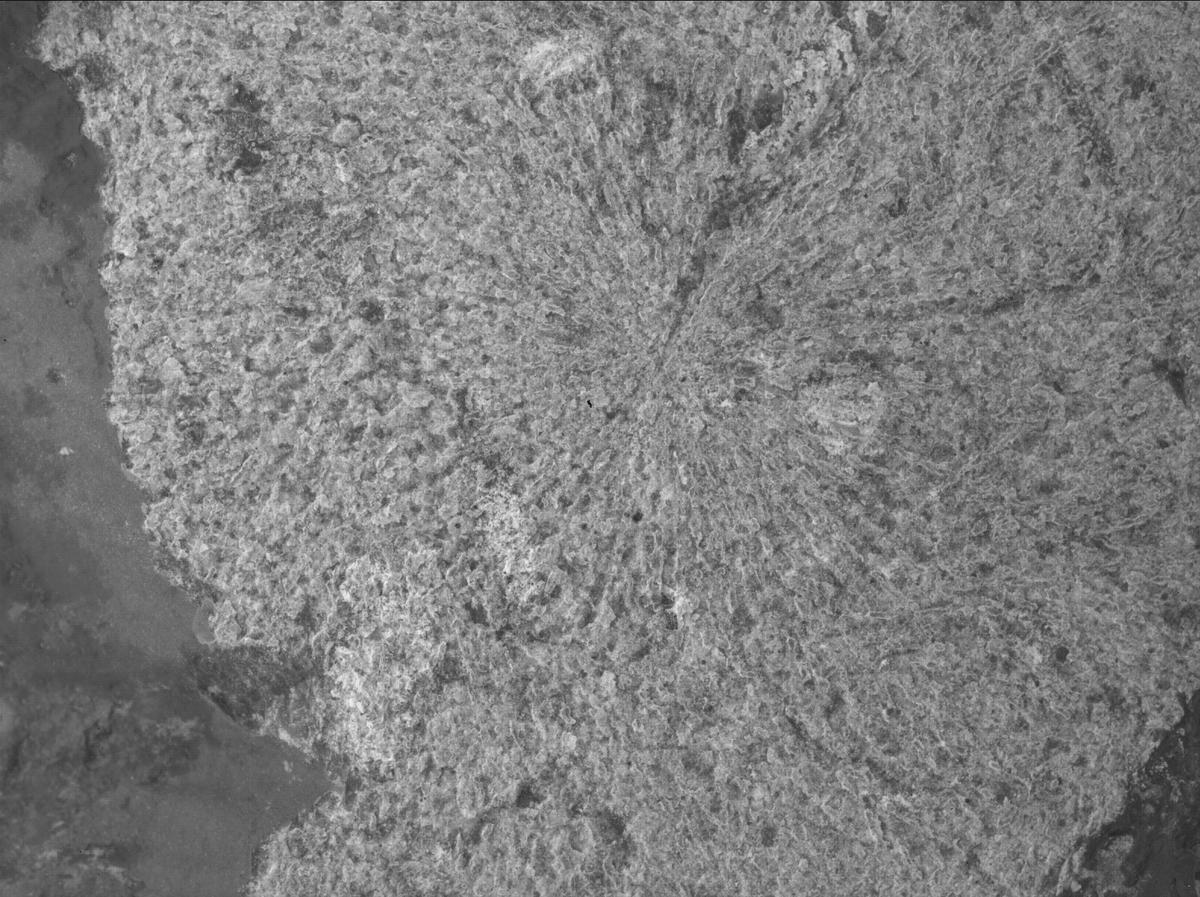 This image was taken by SHERLOC_WATSON onboard NASA's Mars rover Perseverance on Sol 860