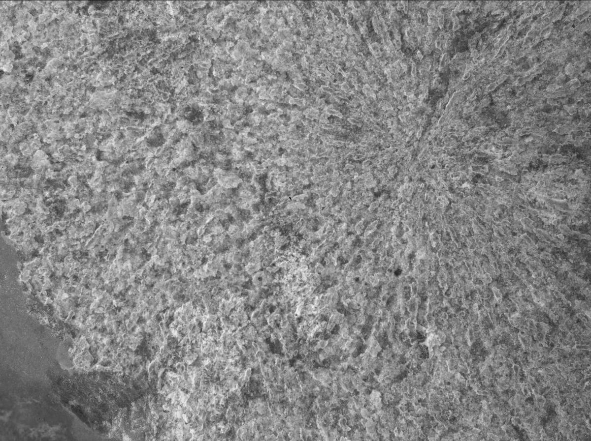 This image was taken by SHERLOC_WATSON onboard NASA's Mars rover Perseverance on Sol 860