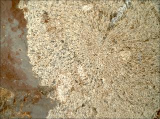 View image taken on Mars, Mars Perseverance Sol 860: WATSON Camera 