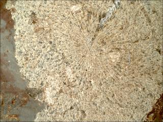 View image taken on Mars, Mars Perseverance Sol 860: WATSON Camera 