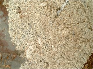 View image taken on Mars, Mars Perseverance Sol 860: WATSON Camera 