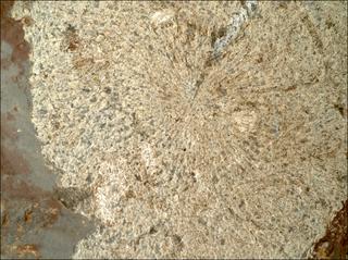 View image taken on Mars, Mars Perseverance Sol 860: WATSON Camera 