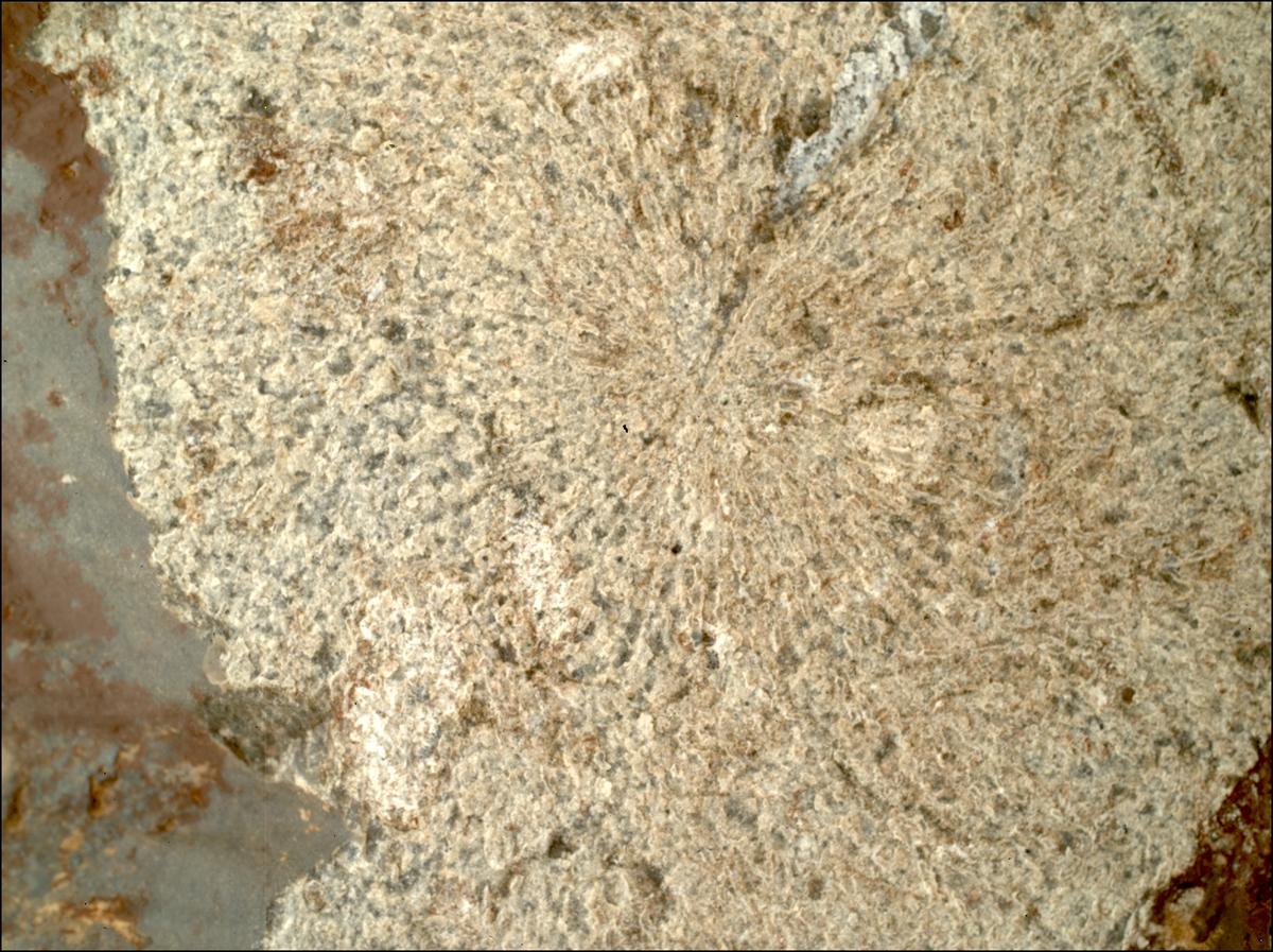 This image was taken by SHERLOC_WATSON onboard NASA's Mars rover Perseverance on Sol 860