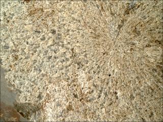 View image taken on Mars, Mars Perseverance Sol 860: WATSON Camera 