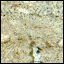 This image was taken by MCZ_LEFT onboard NASA's Mars rover Perseverance on Sol 860