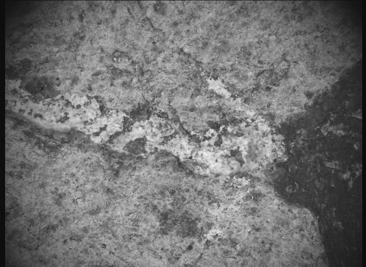 This image was taken by SHERLOC_ACI onboard NASA's Mars rover Perseverance on Sol 861