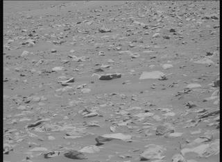 View image taken on Mars, Mars Perseverance Sol 864: Left Mastcam-Z Camera