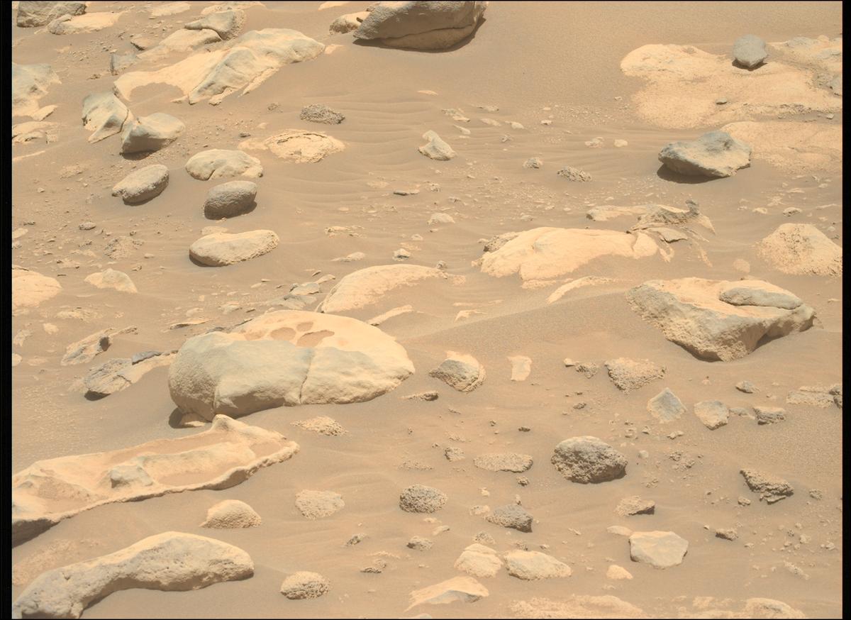This image was taken by MCZ_LEFT onboard NASA's Mars rover Perseverance on Sol 864