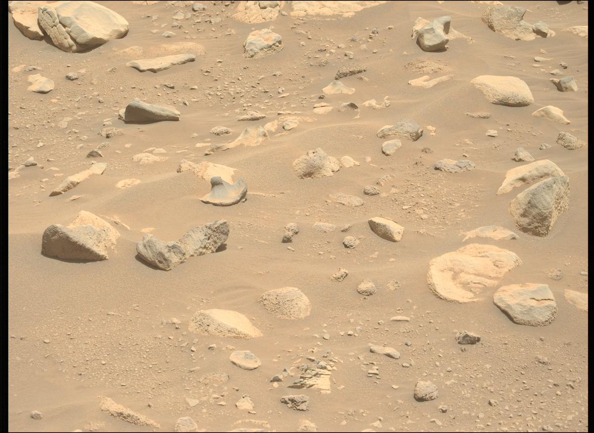 This image was taken by MCZ_LEFT onboard NASA's Mars rover Perseverance on Sol 864