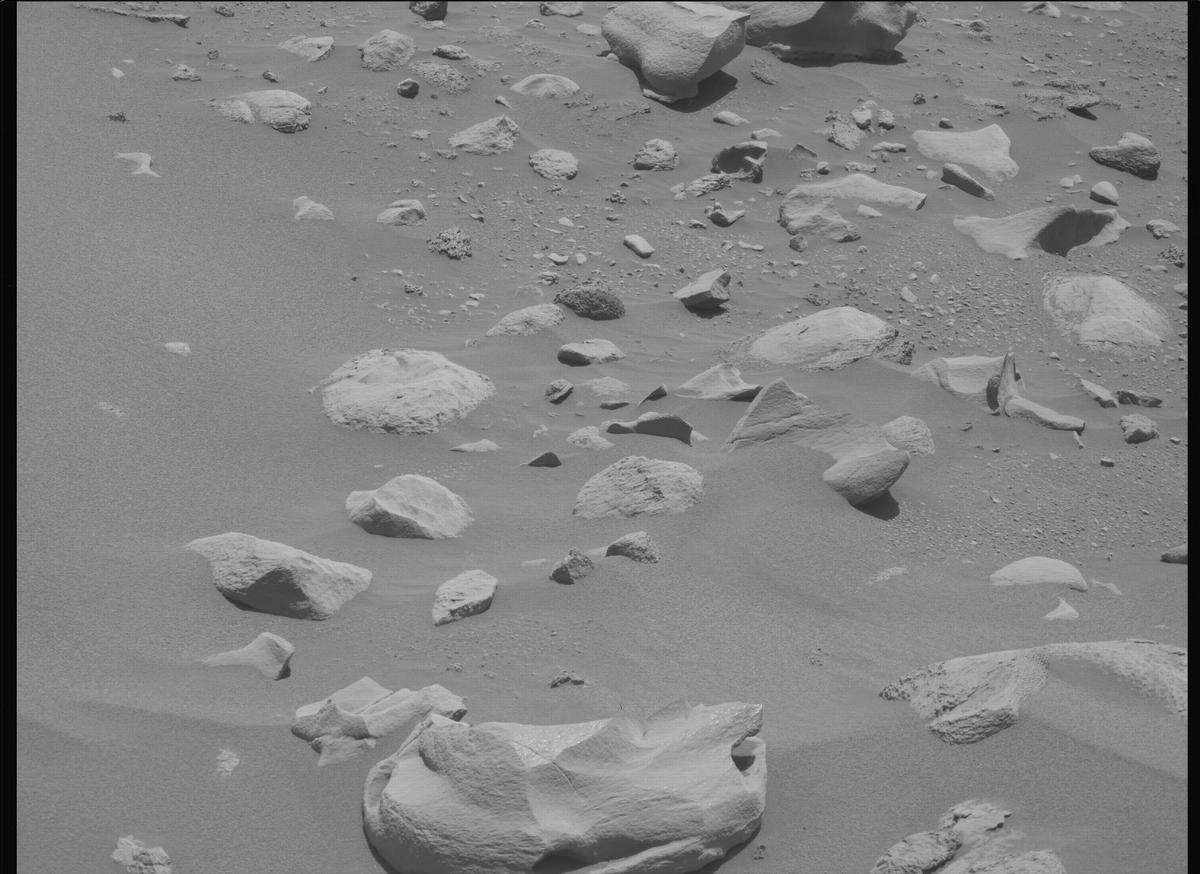 This image was taken by MCZ_LEFT onboard NASA's Mars rover Perseverance on Sol 864