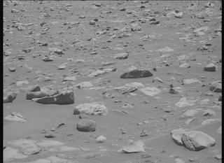 View image taken on Mars, Mars Perseverance Sol 864: Right Mastcam-Z Camera